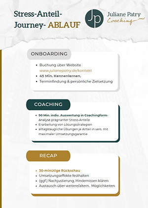 Thumbnail der PDF  "Stress Anteil Journey"